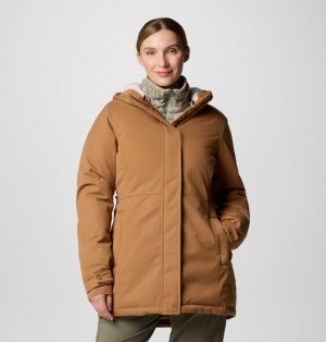 Columbia Alameda Ridge™ Insulated Waterproof Women Parka Brown | 69862109