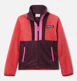 Columbia Back Bowl™ II Boys's Fleece Jackets Pink | 72517221