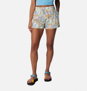 Columbia Boundless Trek™ Active Cargo Women Shorts Multicolor | 51472241