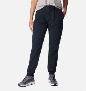 Columbia Boundless Trek™ Pleated Casual Women Pants Black | 44917535
