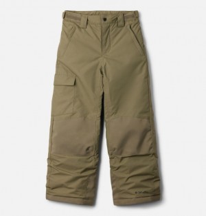 Columbia Bugaboo™ III Waterproof Boys's Ski Pants Olive | 46978917