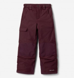 Columbia Bugaboo™ III Waterproof Boys's Ski Pants Burgundy | 46213390