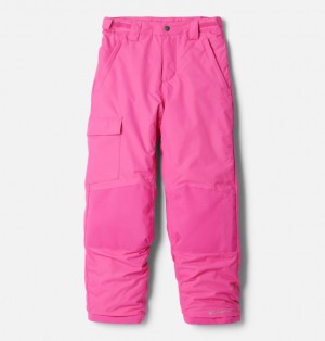 Columbia Bugaboo™ III Waterproof Boys's Ski Pants Pink | 4633090