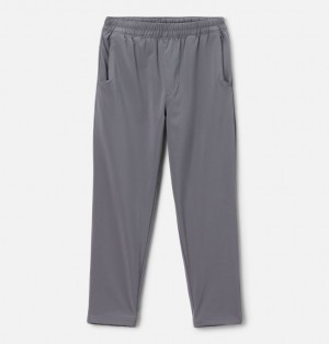 Columbia Hike™ II Lined Boys's Joggers Grey | 77920909