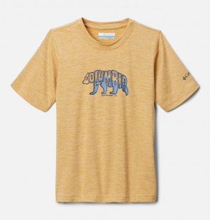 Columbia Mount Echo™ Technical Graphic Boys's T Shirts Khaki | 69323977