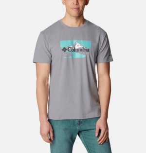 Columbia Path Lake™ II Graphic Men T Shirts Grey | 71012173