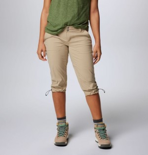 Columbia Saturday Trail™ II Knee Women Hiking Pants Brown | 69394126
